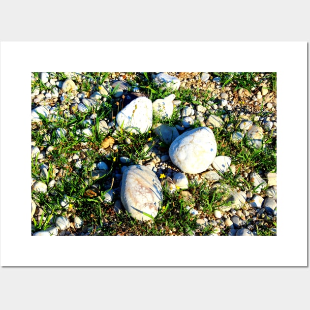 Shot from Santarelli lakes in Piane di Moresco with different white stones interspersed with green grass and yellow flowers Wall Art by KristinaDrozd